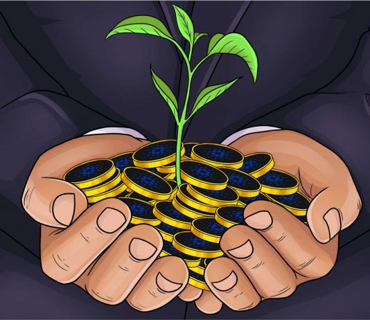 Cardano Structure Finishes Financing To Plant 1 Million Trees Cardano Structure Finishes Financing To Plant 1 Million Trees