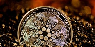 Cardano Goes Into The Basho Phase: How It Enhances Efficiency Cardano Goes Into The Basho Phase: How It Enhances Efficiency