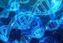 RMDS Laboratory: A Brand-new NFT Market For Science And Tech IP …