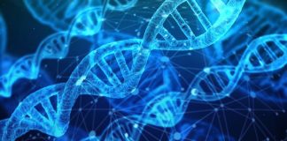 RMDS Laboratory: A Brand-new NFT Market For Science And Tech IP …