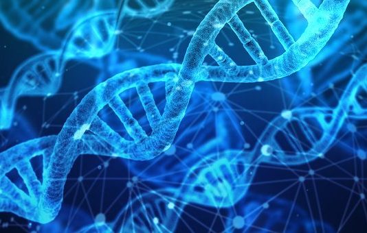 RMDS Laboratory: A Brand-new NFT Market For Science And Tech IP …