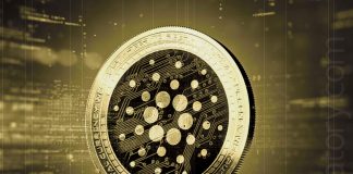 Cardano Strikes Bottom? What You Need To Think about Prior To Hurrying Into ADA