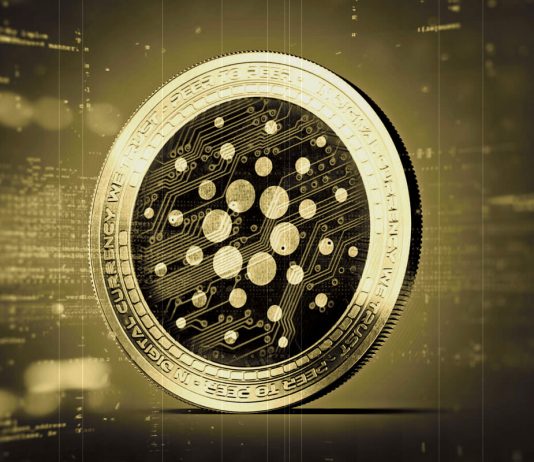 Cardano Strikes Bottom? What You Need To Think about Prior To Hurrying Into ADA