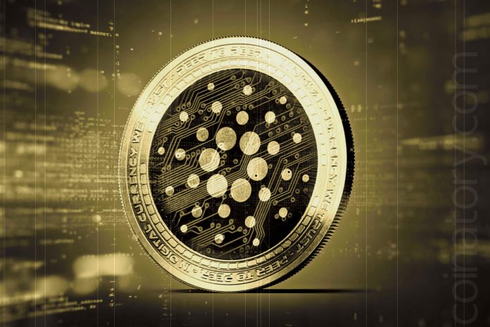 Cardano Strikes Bottom? What You Need To Think about Prior To Hurrying Into ADA