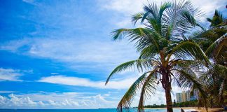 Bitcoin Millionaires Are Gathering To This North American Tax Sanctuary. However What Do The Locals Believe?