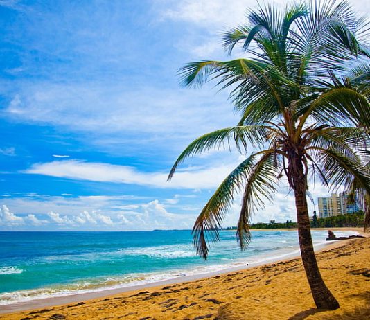 Bitcoin Millionaires Are Gathering To This North American Tax Sanctuary. However What Do The Locals Believe?