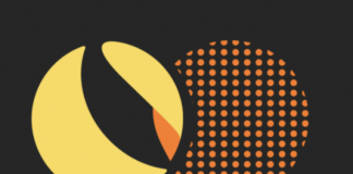 Terra Announces Non-Profit ‘Luna Structure Guard’