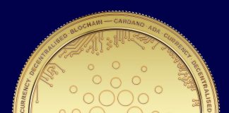 Cardano Backed Metaverse Job Pavia’s Land Rate Skyrockets Cardano Backed Metaverse Job Pavia’s Land Rate Skyrockets