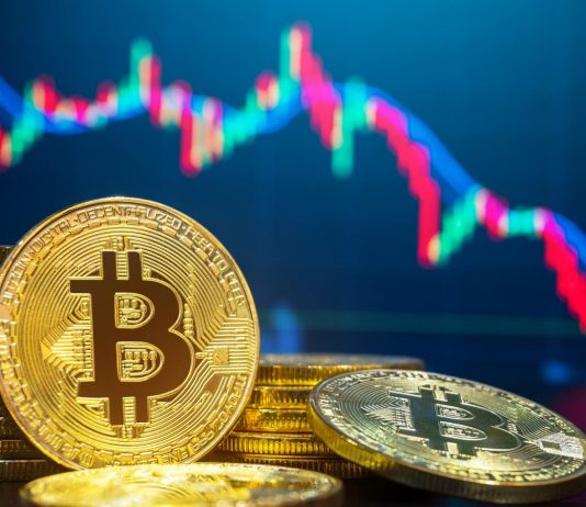 Bitcoin cost news– live: Crypto market rebounds as Elon Musk makes McDonald’s plea