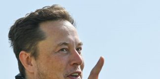 Elon Musk advises McDonalds to accept dogecoin and guarantees to consume a Delighted Meal in return