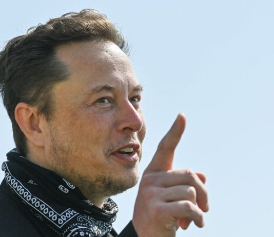 Elon Musk advises McDonalds to accept dogecoin and guarantees to consume a Delighted Meal in return