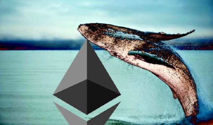 Ethereum Whales Silently Filled On ETH While Wider Market Stressed