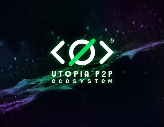Decentralized Environment of Paradise P2P