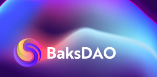 What is BaksDAO: The Evaluation of the Job and Its Opportunities