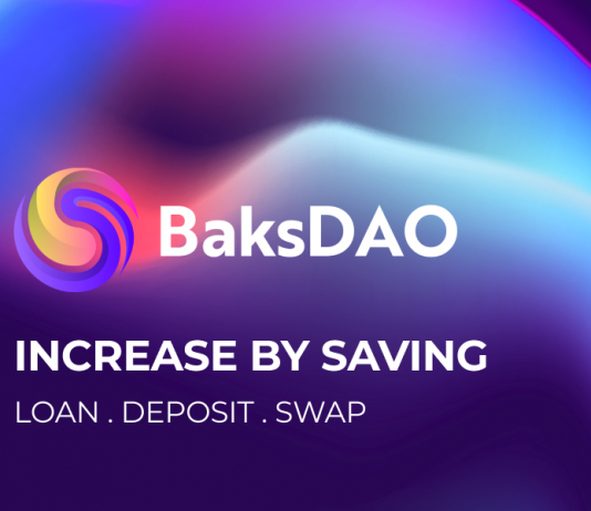What is BaksDAO: The Evaluation of the Job and Its Opportunities