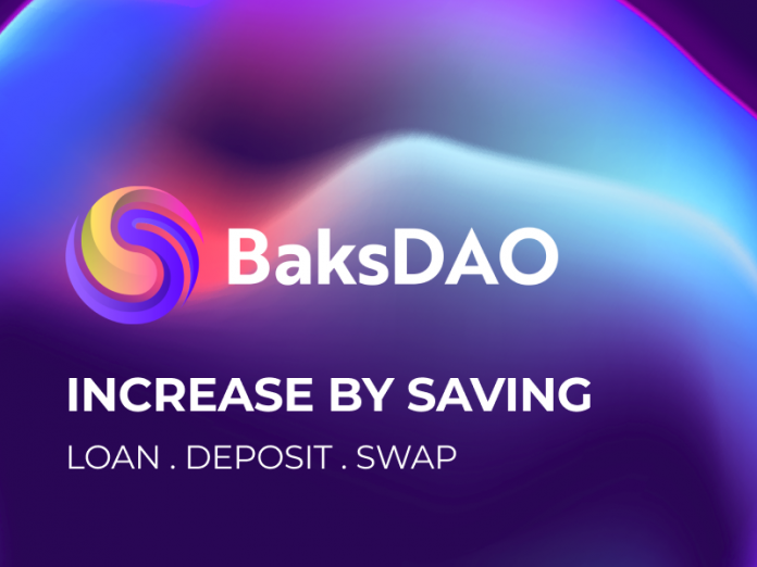 What is BaksDAO: The Evaluation of the Job and Its Opportunities