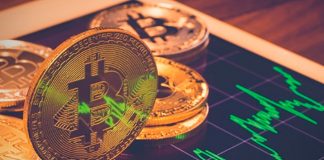 Bitcoin Market Supremacy Struck Greatest Considering That November 2021, No Alt Season in Sight