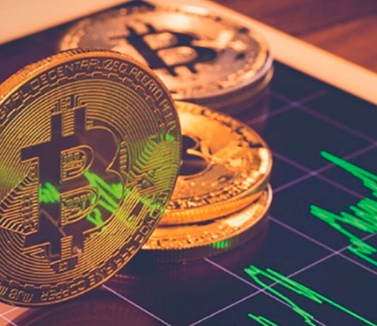 Bitcoin Market Supremacy Struck Greatest Considering That November 2021, No Alt Season in Sight
