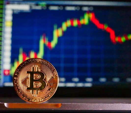 Bitcoin Halving To Bring The Subsequent Crypto Craze