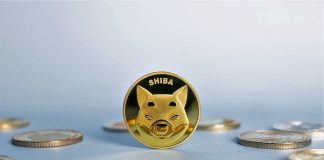 Shiba Inu Coin and other memecoins rocket up in most current crypto market surprise