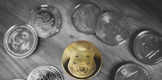 Shiba Inu Barks At Bears With 25% Gains, However Social Network Continues To Pattern Dogecoin