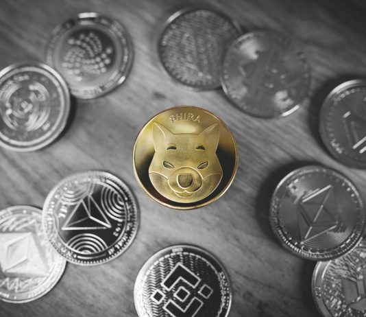 Shiba Inu Barks At Bears With 25% Gains, However Social Network Continues To Pattern Dogecoin