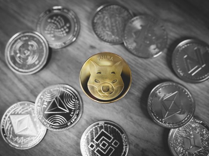 Shiba Inu Barks At Bears With 25% Gains, However Social Network Continues To Pattern Dogecoin