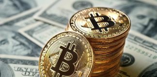 Little Cap Index Lead Gains In February, However What Is Bitcoin Doing?