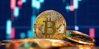 Bitcoin Supremacy Drops To 42% As Rate Decreases Listed Below $43,000