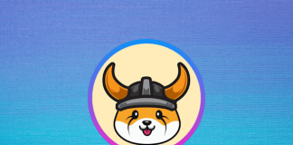 Floki Inu Bark Draws In BSC And Ethereum Whales– Can It Go Near $0.001?