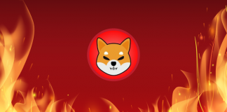 Can Shiba Inu Break Past The $1 Mark? Here’s How It Can
