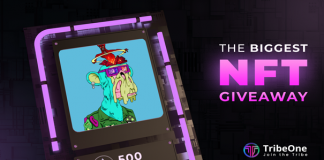 TribeOne Is Hosting Crypto’s Greatest NFT Free gift– Win your extremely own MAYC!