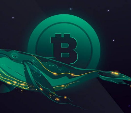 Lawbreaker Whales Hold $25 Billion In Crypto Assets: Chainalysis Report