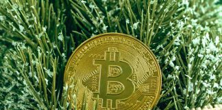 Information Reveals Bitcoin Top Purchasers Currently Capitulated, New Bull Rally Here?