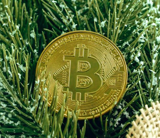 Information Reveals Bitcoin Top Purchasers Currently Capitulated, New Bull Rally Here? Information Reveals Bitcoin Top Purchasers Currently Capitulated, New Bull Rally Here?