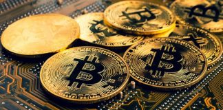 Brief Traders Annihilated As Bitcoin Barrels Previous $43,000