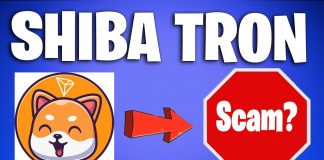 Shiba Tron, The Shiba Inu And Floki Inu ‘Killer’ That Skyrocketed 1,000%, Is A Prospective Rip-off