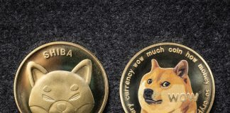 Ukraine demands dogecoin contributions as meme coin ‘goes beyond Russian ruble’