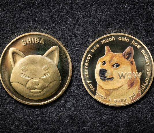 Ukraine demands dogecoin contributions as meme coin ‘goes beyond Russian ruble’