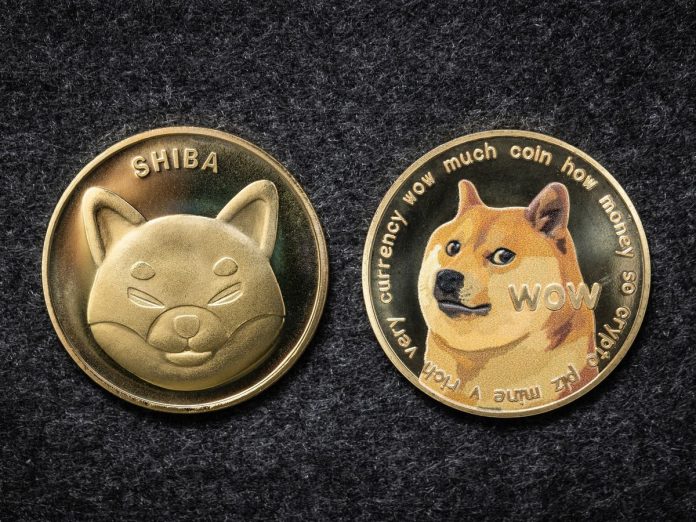 Ukraine demands dogecoin contributions as meme coin ‘goes beyond Russian ruble’