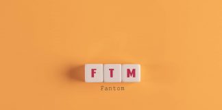 Why Fantom Fell 22% Following Secret Worker Exit