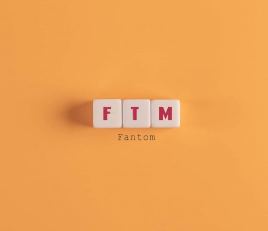 Why Fantom Fell 22% Following Secret Worker Exit