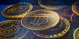 Bitcoin cost: Crypto market crashes drastically after brand-new United States statement
