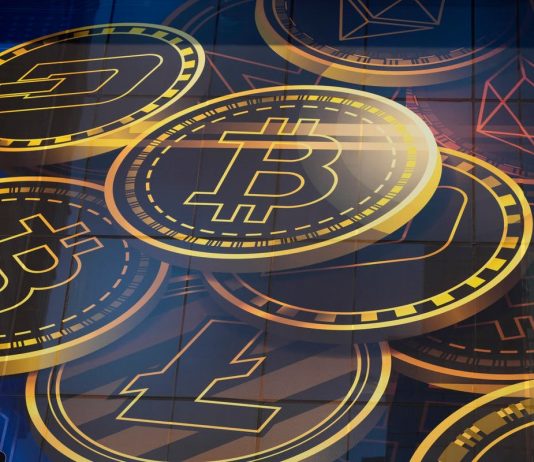 Bitcoin cost: Crypto market crashes drastically after brand-new United States statement