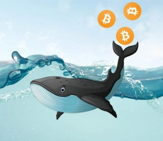 Huge Quantity Of ‘Sleeping’ Bitcoin Moved After More Than 11 Years In Hibernation
