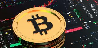 Veteran Trader Recommends ‘Gen Zs’ To Reserve Cost Savings On Bitcoin And Hold