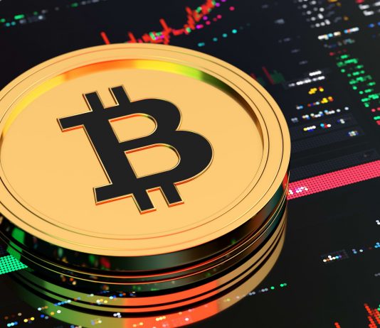 Veteran Trader Recommends ‘Gen Zs’ To Reserve Cost Savings On Bitcoin And Hold