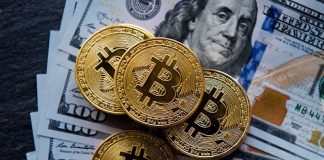Mike Novogratz: Bitcoin Rate To Variety In Between $30 k-$50 k Throughout The Year