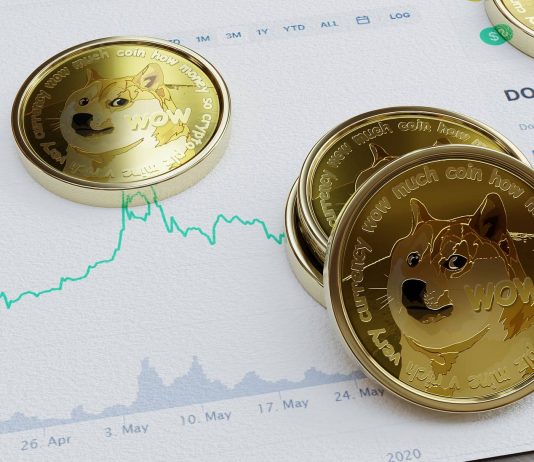 Dogecoin Cost Falls As India’s Reserve bank Prohibits Cryptos