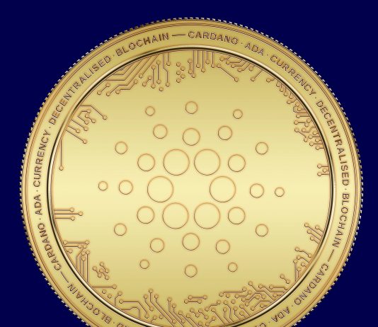 Cardano (ADA) Obtains 9th Position in Market Evaluation Throughout Environment Inflows